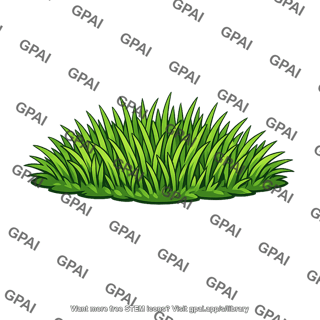 Grassy area