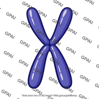 Chromosome