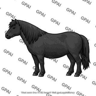 Pony shetland 64
