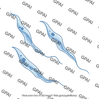 Trypanosomes trypomastigote long thin form