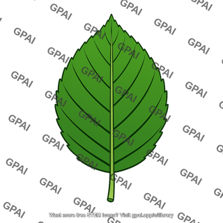 Temperate deciduous tree leaf