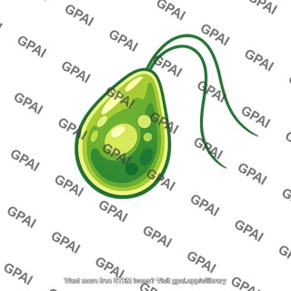 Flagellate