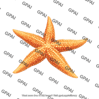 Northern pacific seastar asterias amurensis