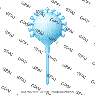 Viral protein 4
