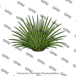 Longleaf pine seedling