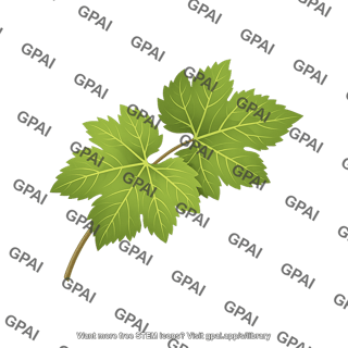 Grape leaf