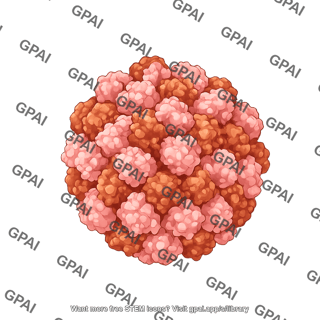 Porcine parvovirus ppv