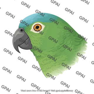 Amazon parrot head