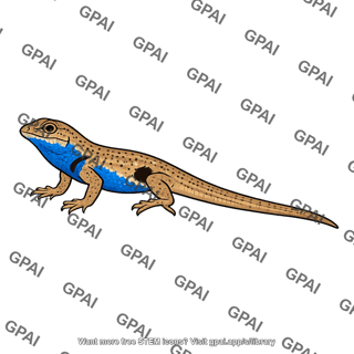 Side blotched lizard male blue morph