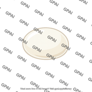 Cyclamen mite egg