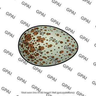 European magpie egg