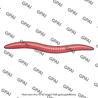 Segmented worm
