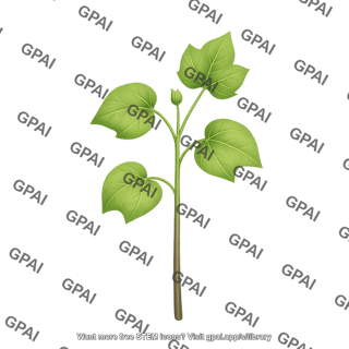 Cotton seedling