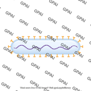 Rsv filamentous