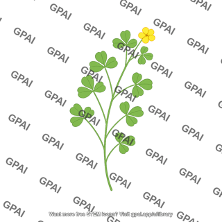 Barrelclover