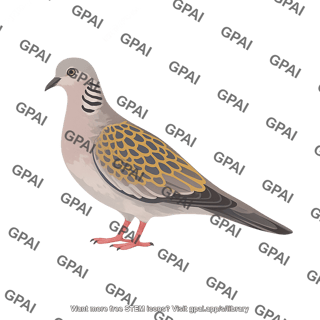 European turtle dove