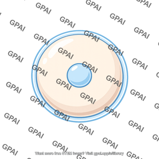 Unfertilized egg cell