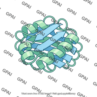 Protein molecule