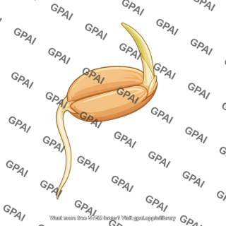 Wheat germinating seed 1