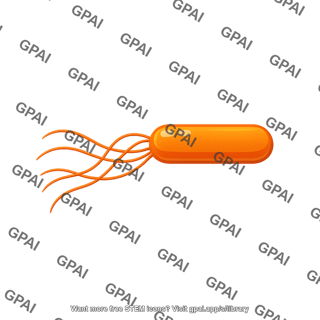 Bacillus flagella