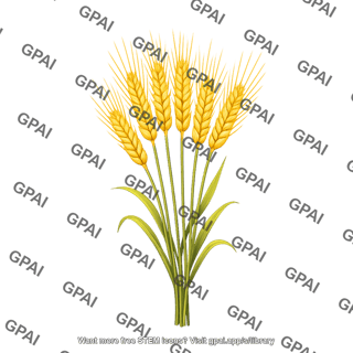 Wheat bundle 2