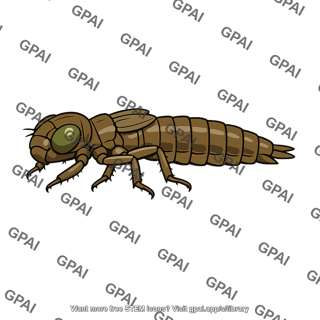 Dragonfly larval