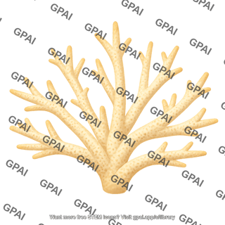 Staghorn coral acropora cervicornis 01