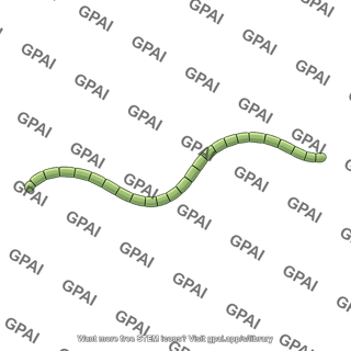 Segmented filamentous bacterium
