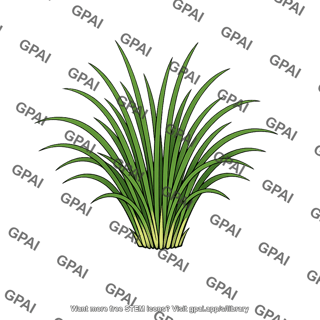 Plant growth form grass