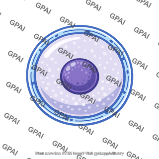 Cell nucleus