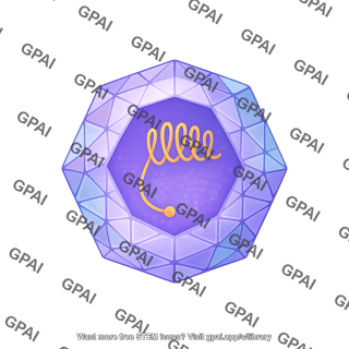 Poliovirus