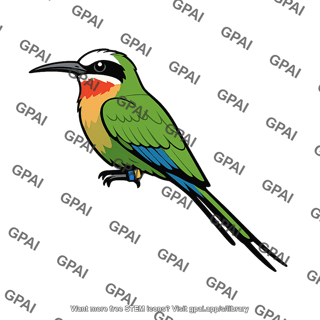 White fronted bee eater marked