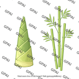 Bamboo shoot