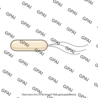 Rod shaped bacterium