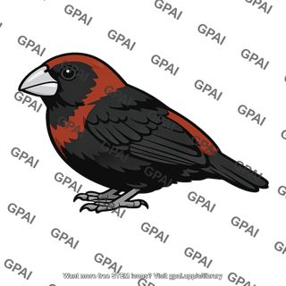 Pyrenestes ostrinus
