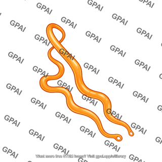 Drosophila organ malpighian tubules lateral