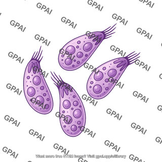 Toxoplasma gondii sporozoite