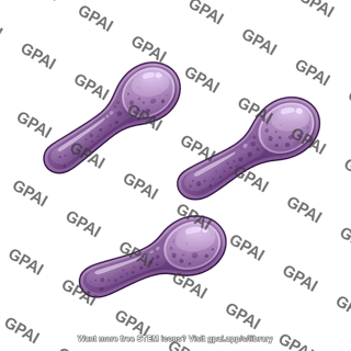 Clostridium sporogenes spore forming