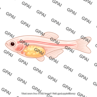 Zebrafish female caspeer