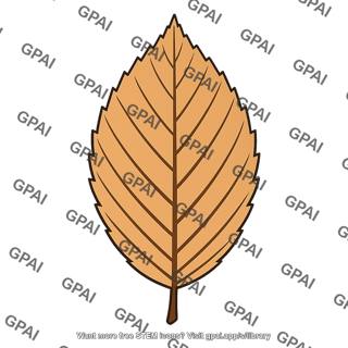 Beech leaf