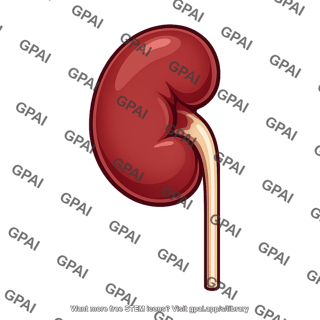 Human kidney