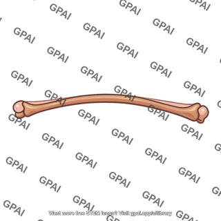 Bat forearm