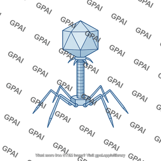 Bacteriophage