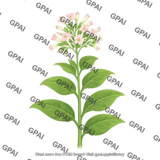 Cultivated tobacco nicotiana tabacum with flowers