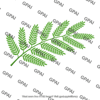 Mesquite leaf