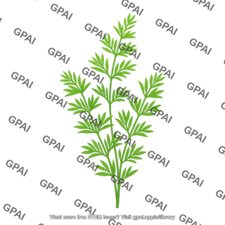 Aquatic plant