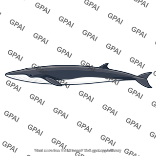 Fin whale