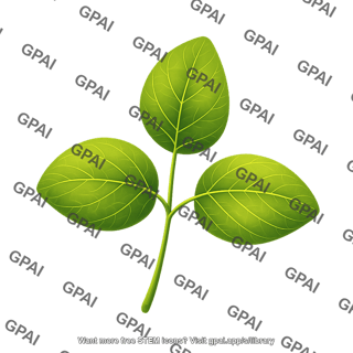 Soybean trifolate leaf round ovate