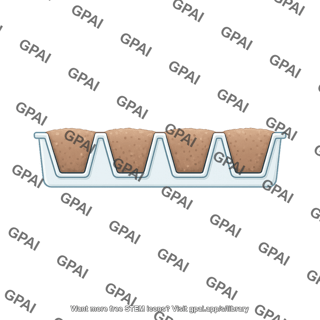 Plant growth tray side view