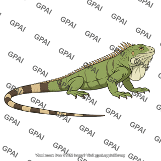 Green iguana